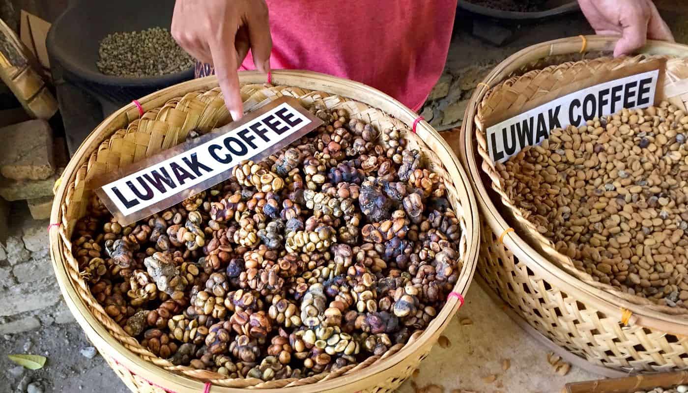 The TRUTH About The World s Most EXPENSIVE Coffee